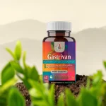Gastrivan Capsulas - Image 3