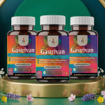 Gastrivan <br>Formula para 3 meses