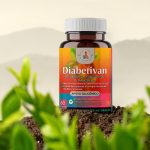 Diabetivan Capsulas - Image 2